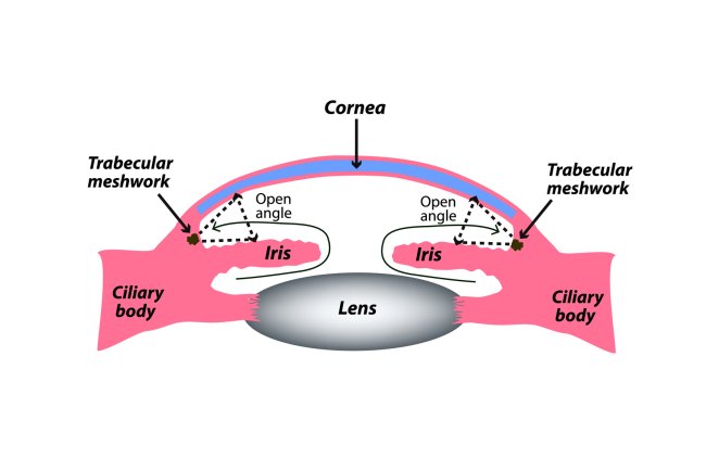 Open Angle Glaucoma Market Size : Epidemiology, Industry Trends, Opportunity and Forecast till 2024-2034