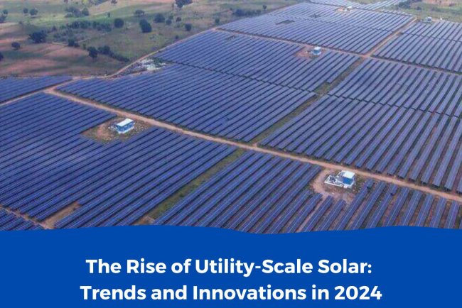 The Rise of Utility-Scale Solar: Trends and Innovations in 2024