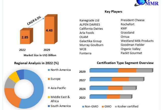 Butter Powder Market 2024 Size, Share, Competitive Landscape and Forecast to 2030