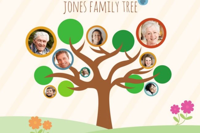 How to Verify and Source Information in Family Tree Maker