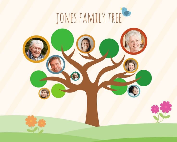 Common Problems in Family Tree Maker (FTM) and How to Solve Them